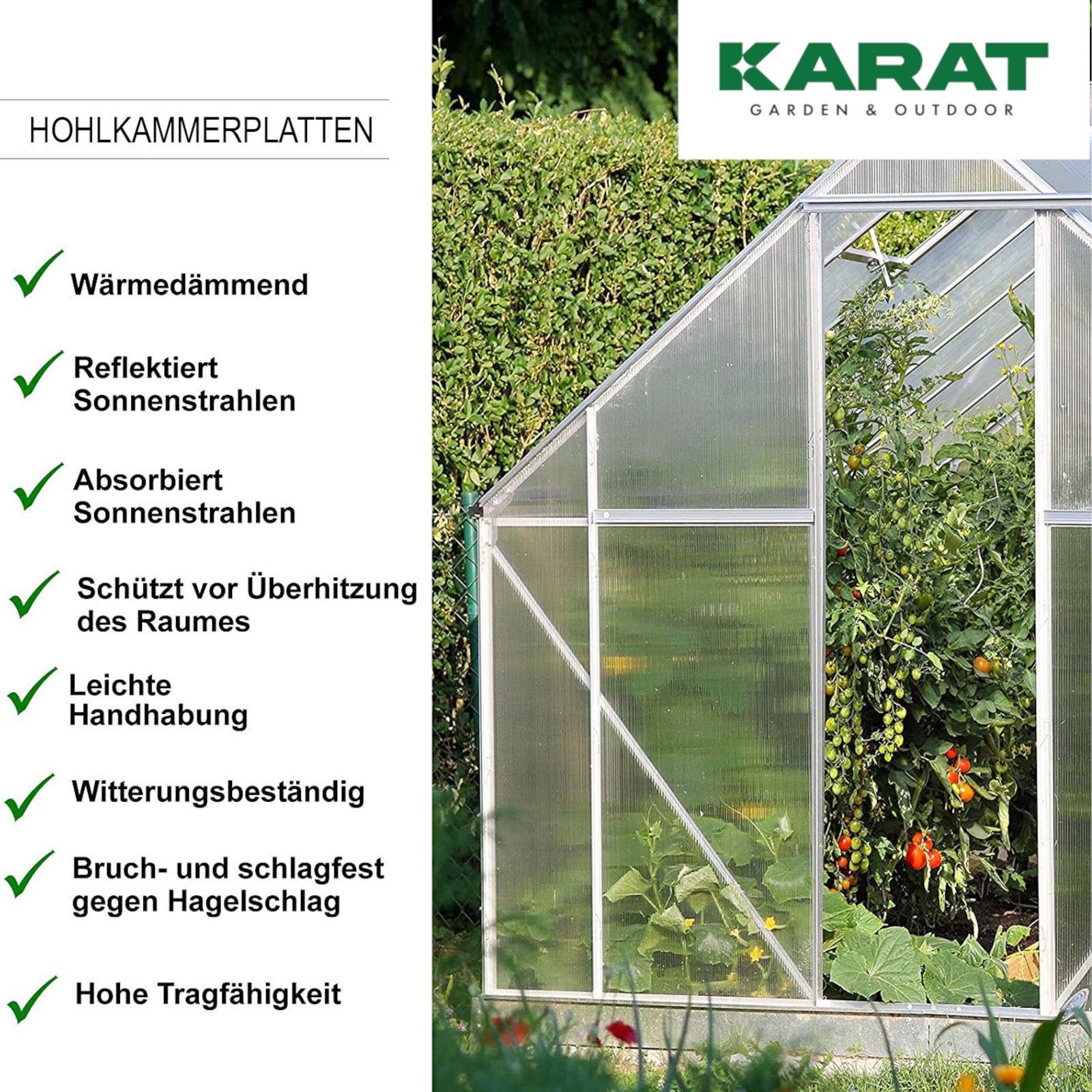 Polycarbonate Sheet | Double Wall Sheeting | 60.5 x 121 cm | For DIY, Roofing and Construction