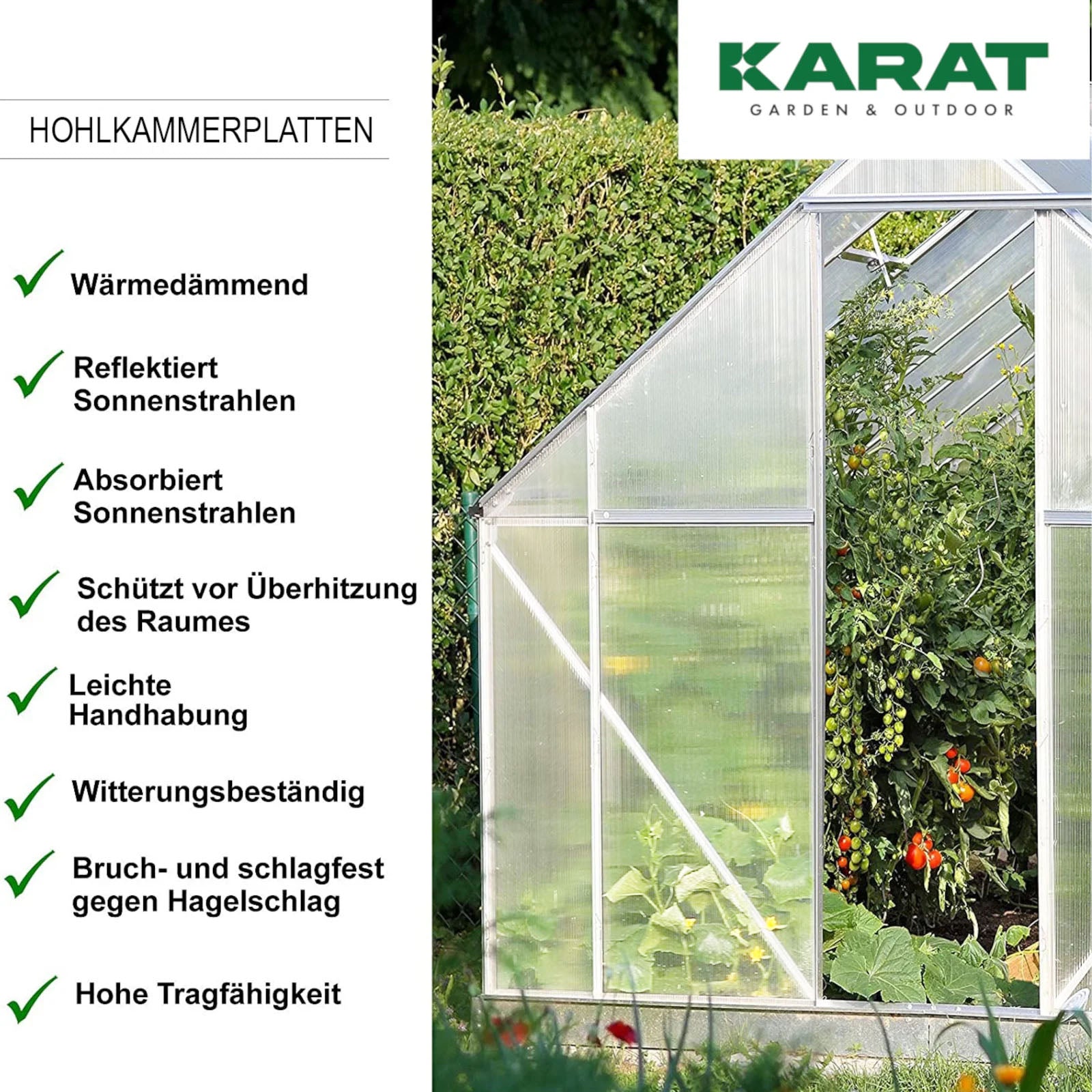 Polycarbonate Sheet | Double Wall Sheeting | 60.5 x 121 cm | For DIY, Roofing and Construction