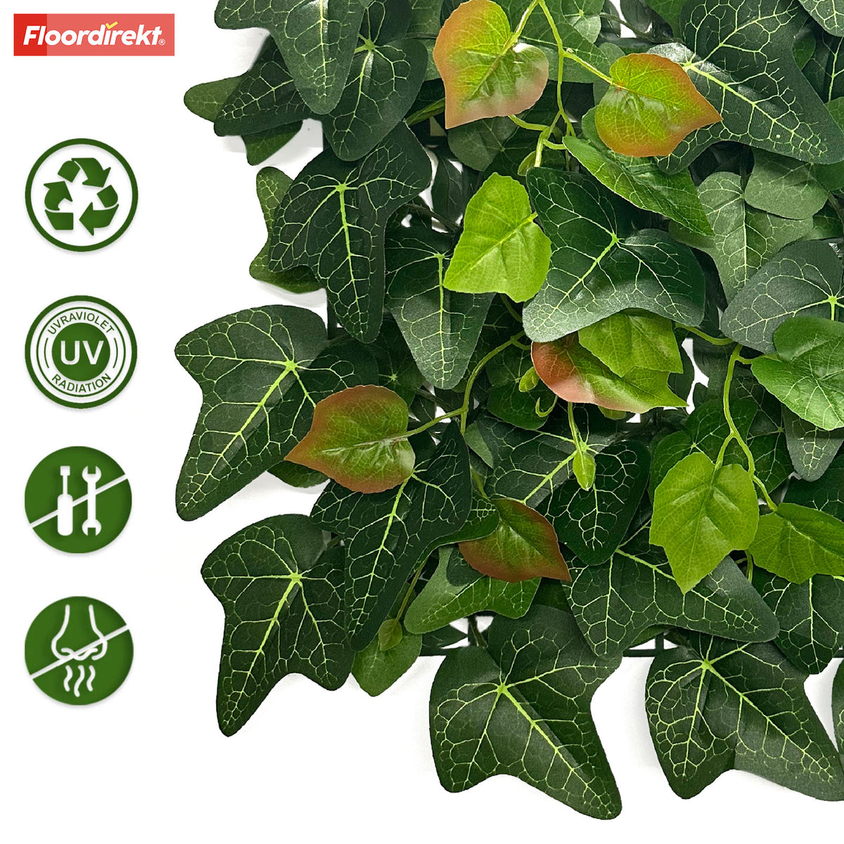 Plant wall | Ivy | Long-lasting artificial plant with ivy leaves for modern interior design | 33 x 33 cm