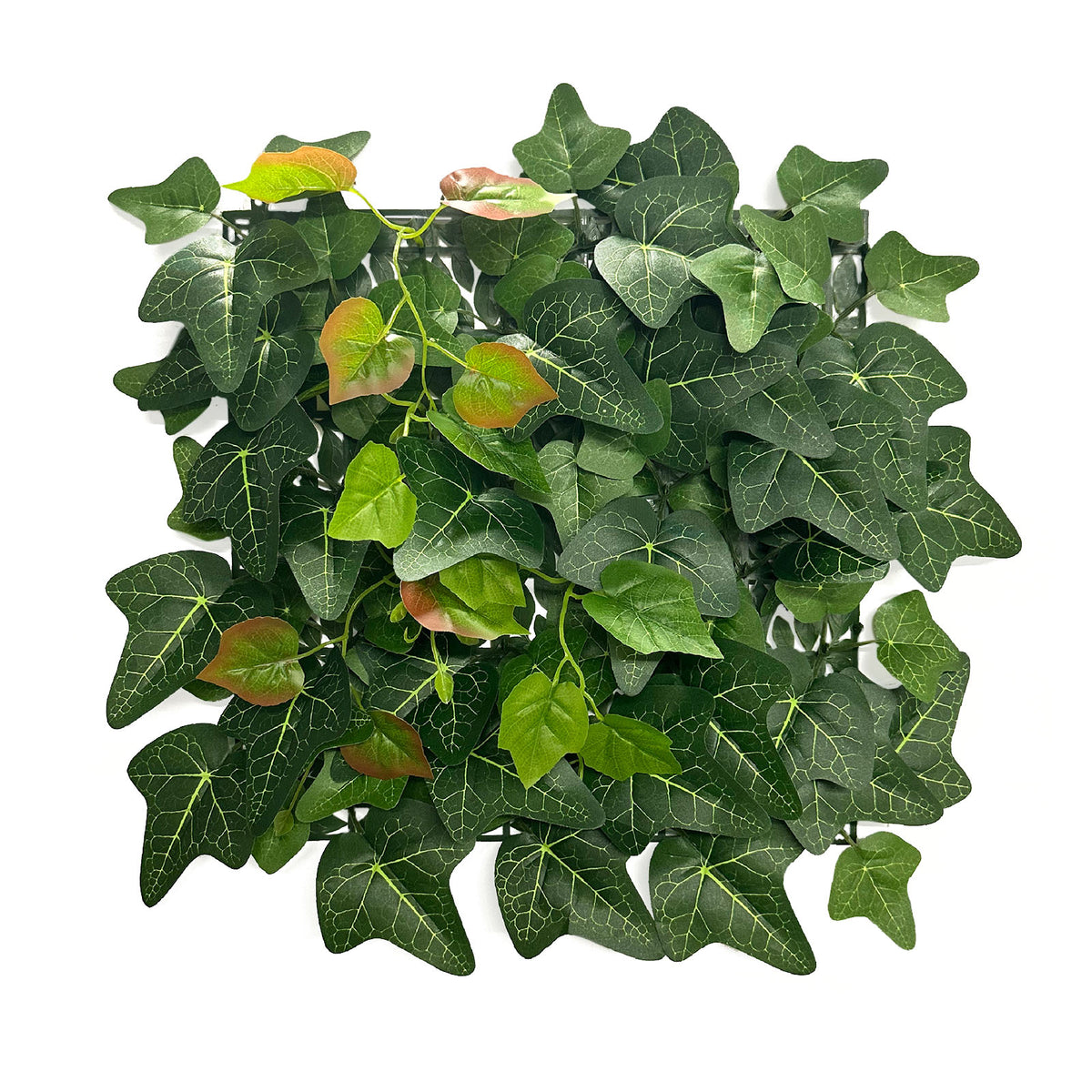 Plant wall | Ivy | Long-lasting artificial plant with ivy leaves for modern interior design | 33 x 33 cm