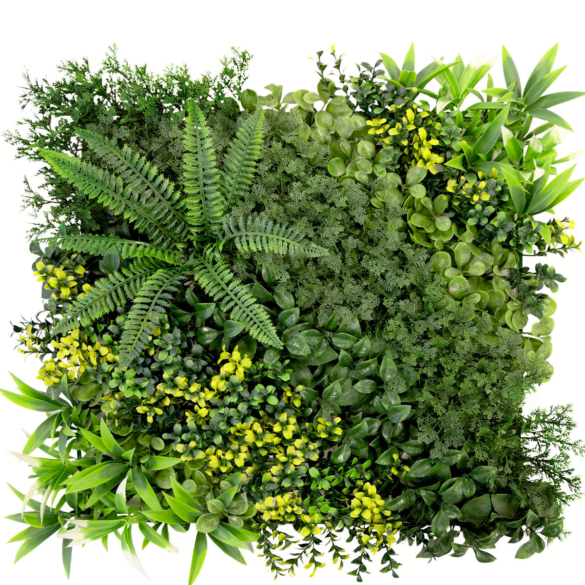 Plant wall | Multielements | Versatile and easy-care green oasis for your interior design | 50 x 50 cm