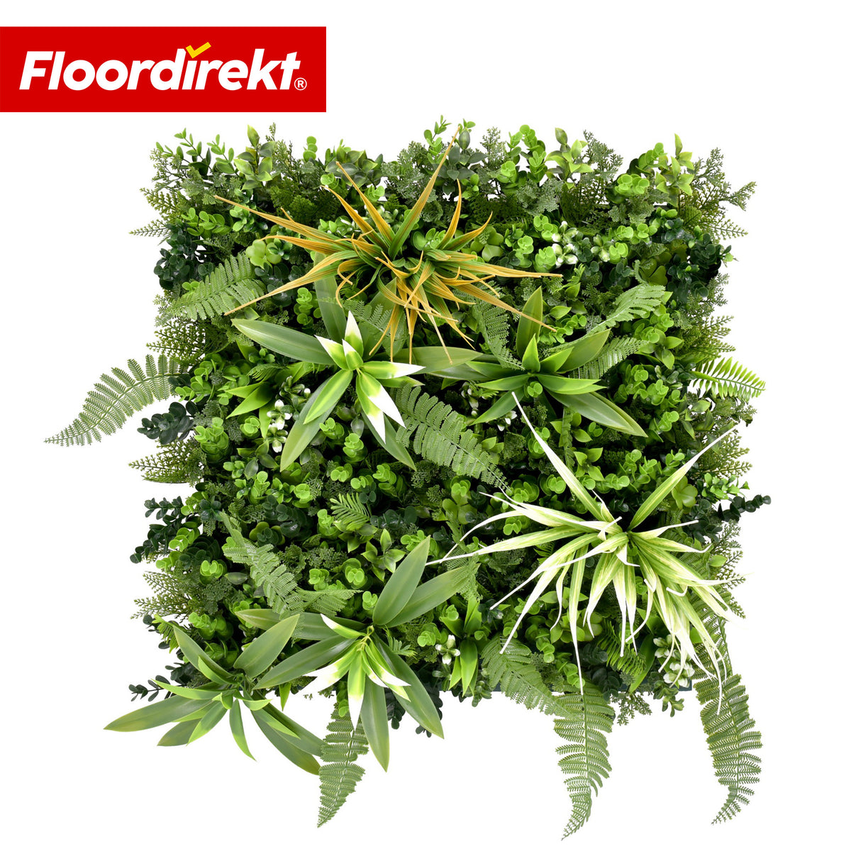 Plant Wall | Fire Sky | Natural, Maintenance-Free Artificial Plant Panel | UV-Resistant & Expandable with Click System | 50 × 50 cm