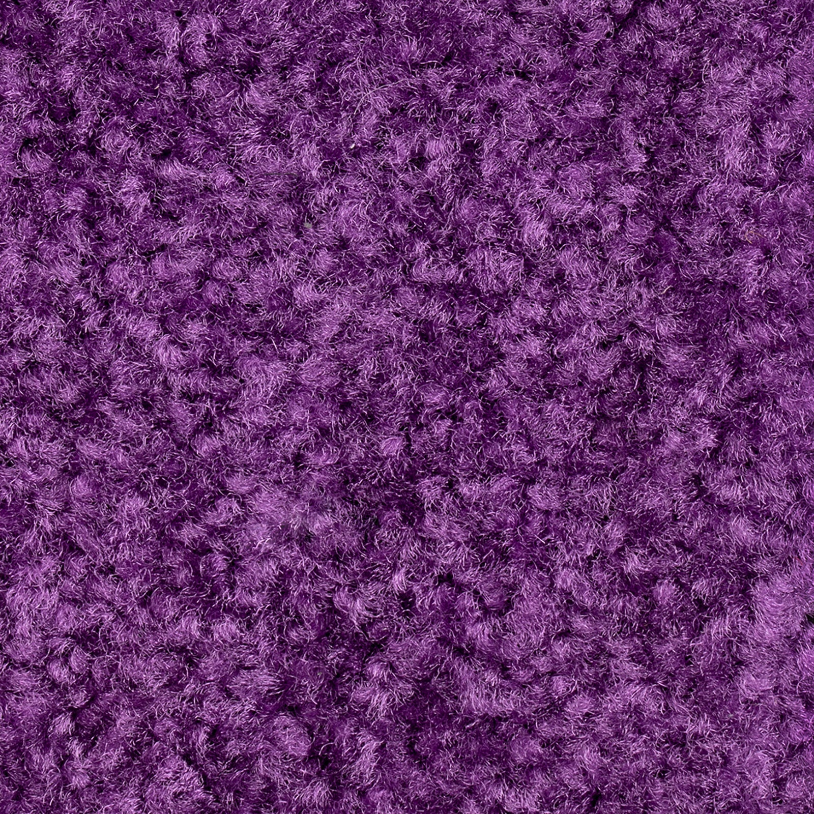 F3_Purple 28