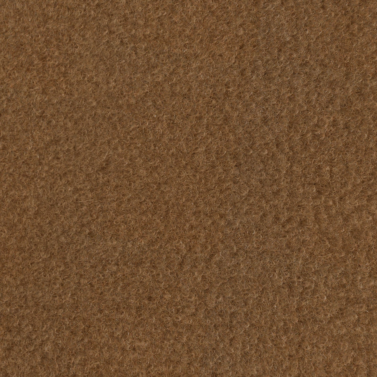 F4_Light Brown | Light Brown