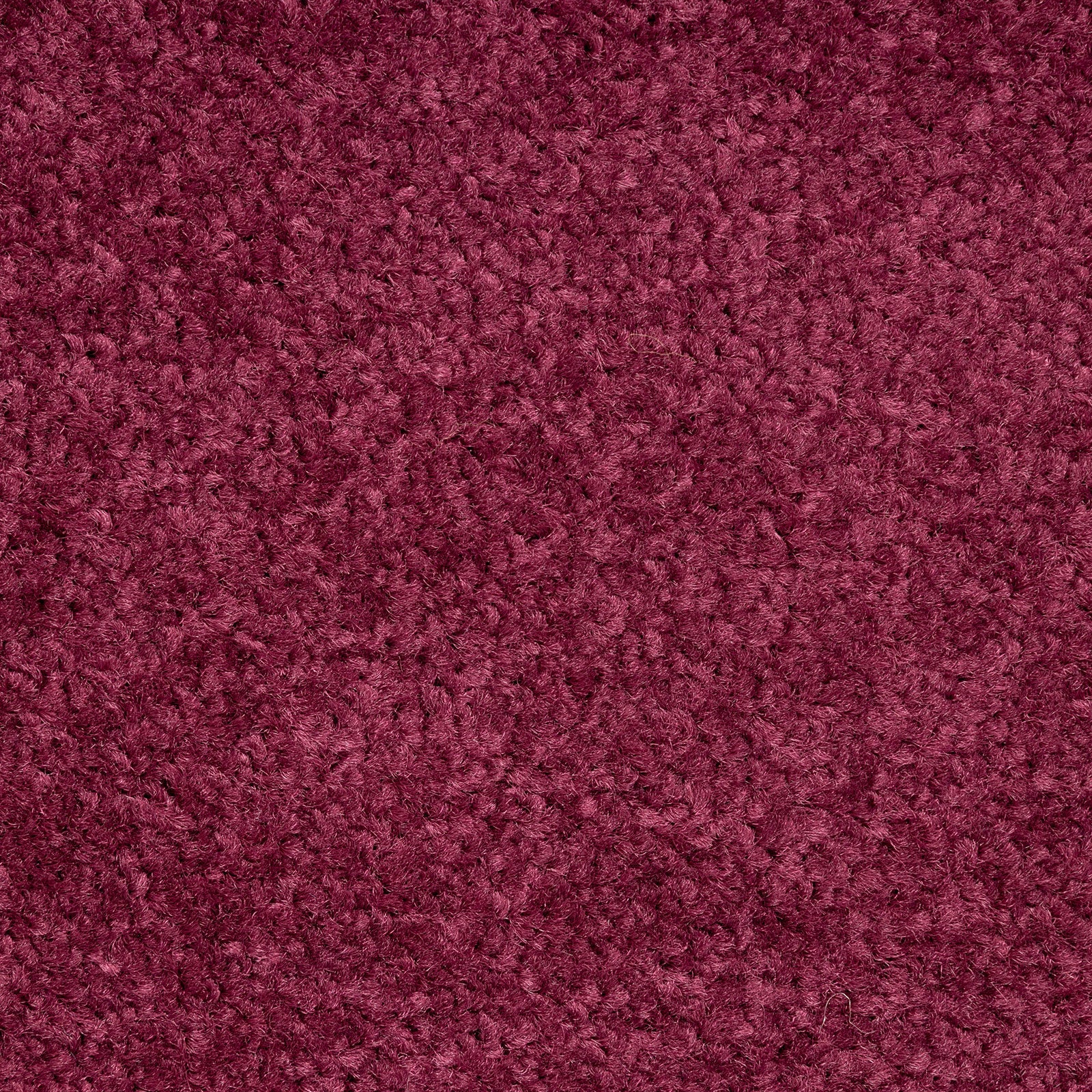 F4_Purple 48
