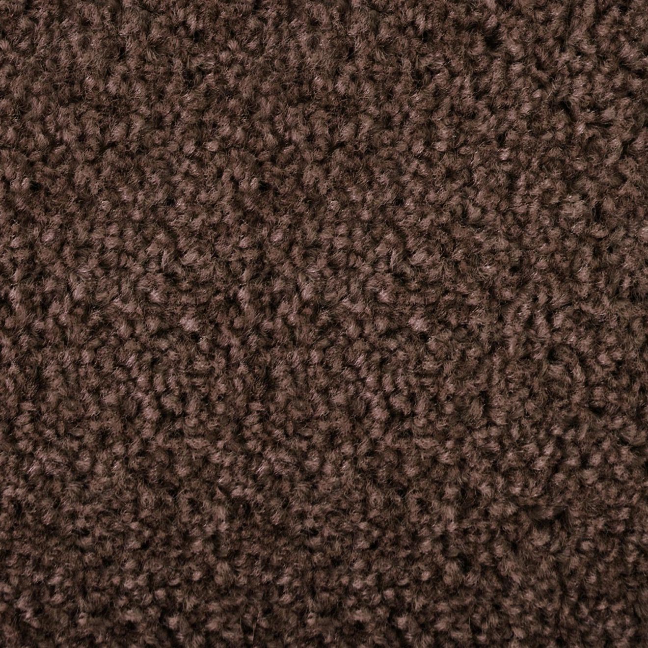 F5_Mud