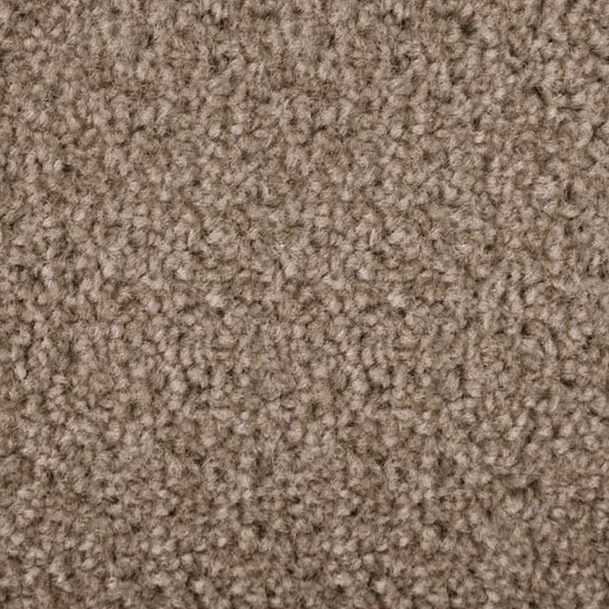 F4_Light brown