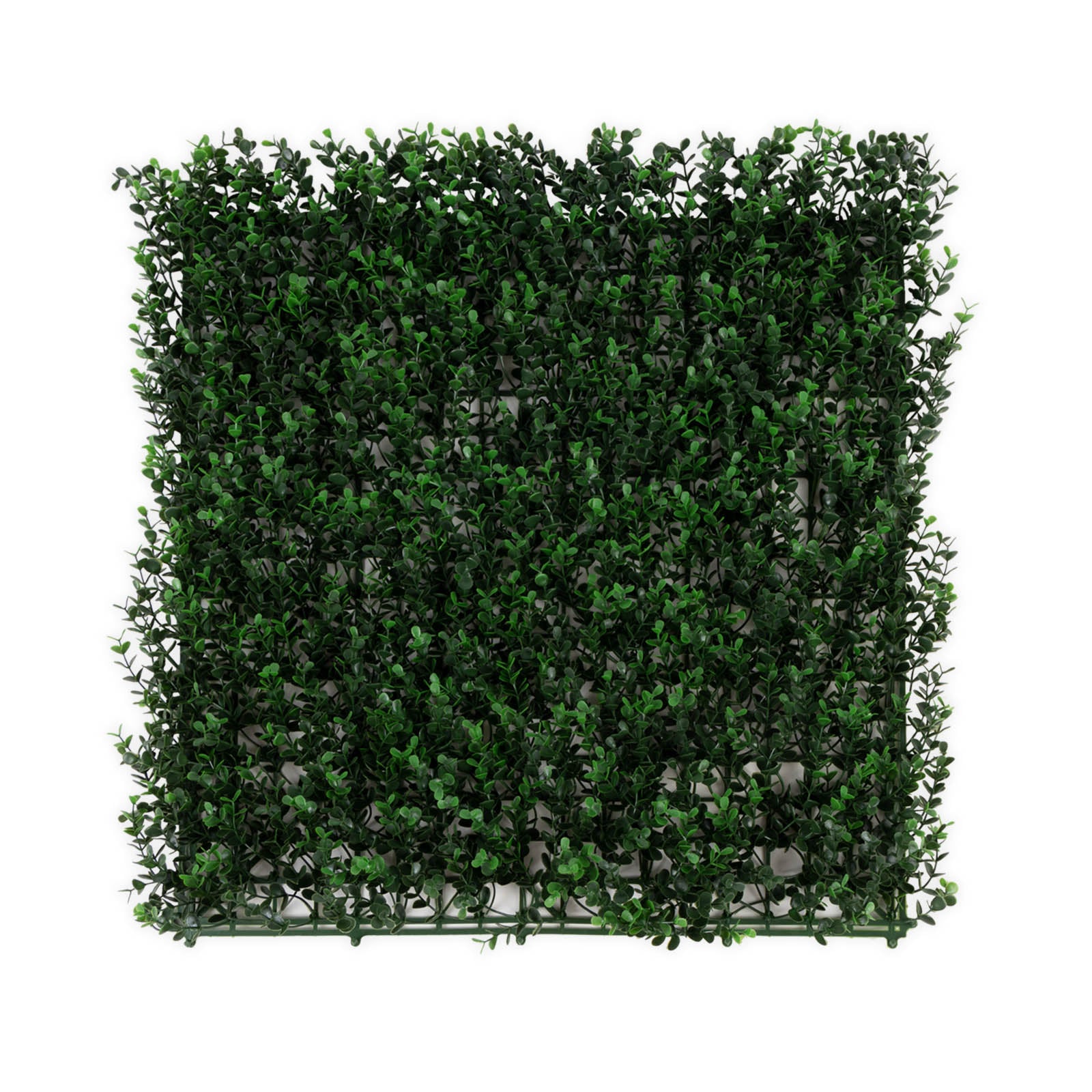 Artificial Plant Tile Buxus Plant Tiles for Wall Mounting 50 x 5
