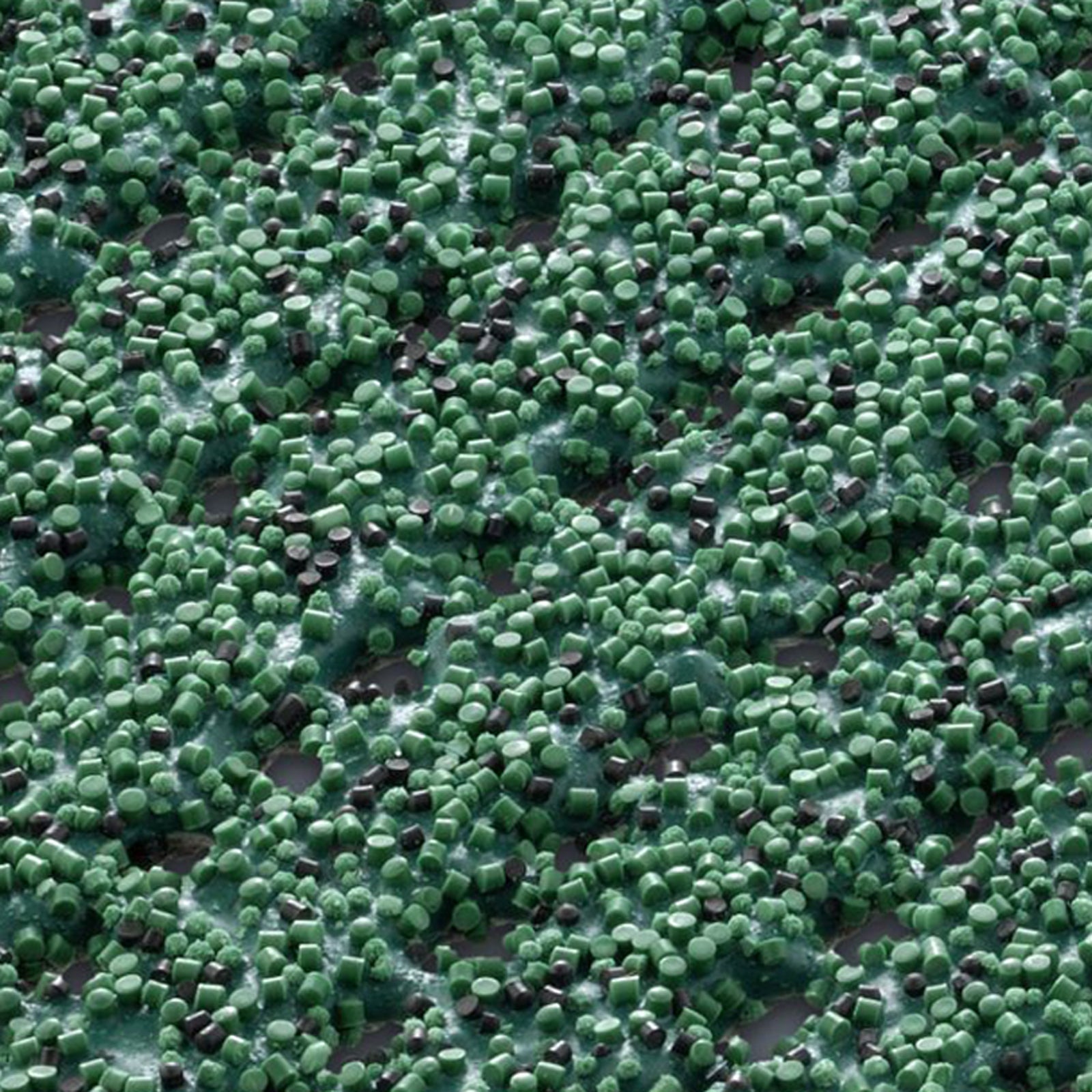 F3_Green