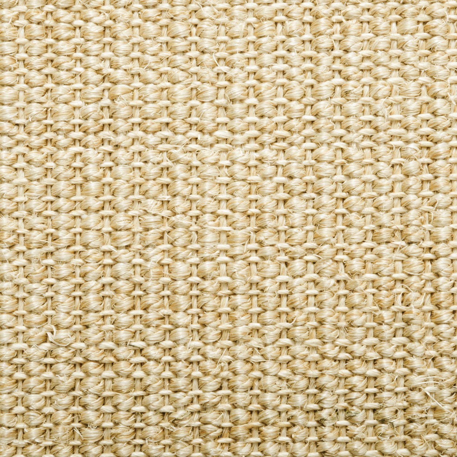 F2_Ivory | Ivory