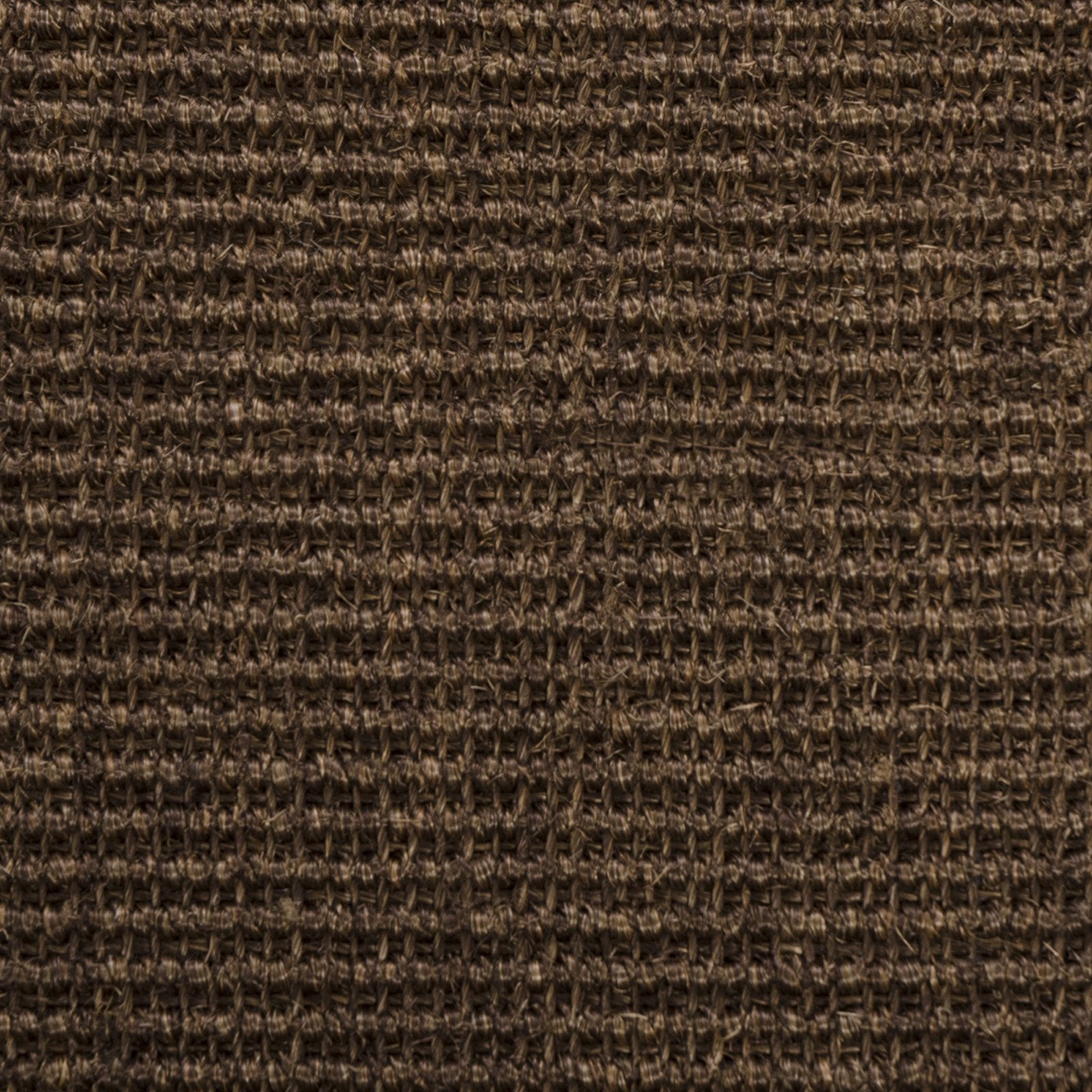 F2_Dark brown | Dark brown