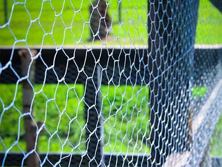 Wire Fencing