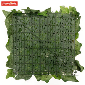 Plant wall | Ivy | Long-lasting artificial plant with ivy leaves for modern interior design | 33 x 33 cm