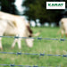 A1_Galvanised | Galvanised