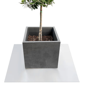 Saucer for flower pots with bevelled edge | Majesty | Protection for the floor | In many colours and sizes