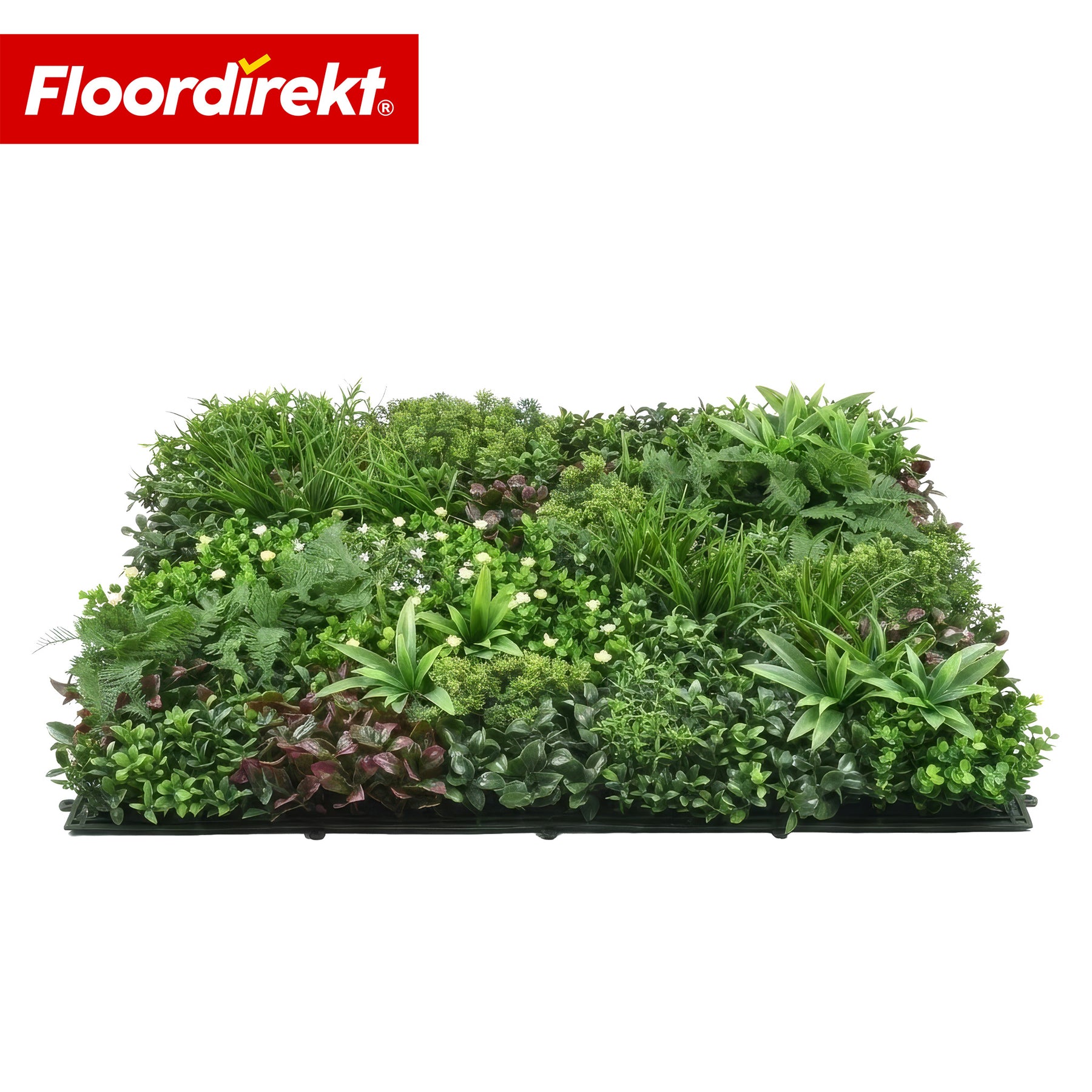 Plant Wall | Wonderland | Realistic Artificial Greenery Panel | Durable, UV-resistant & Expandable | 100 × 100 cm