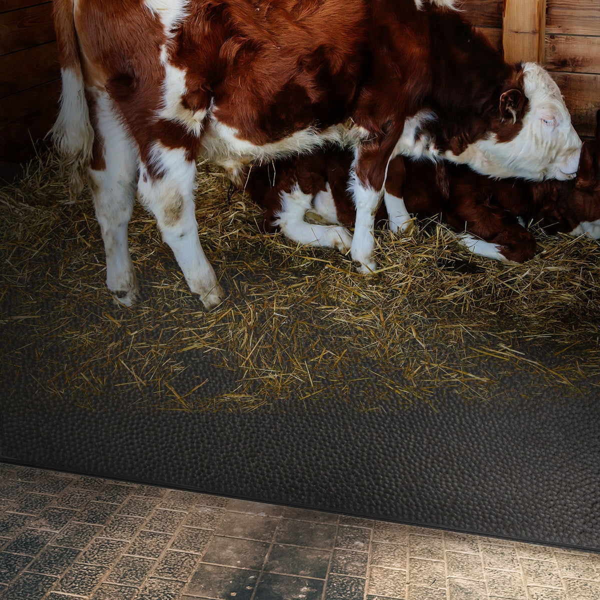 ✂ Cow Bed Matress | GW4005 | Thickness: 4,5 MM | Width: 200 cm