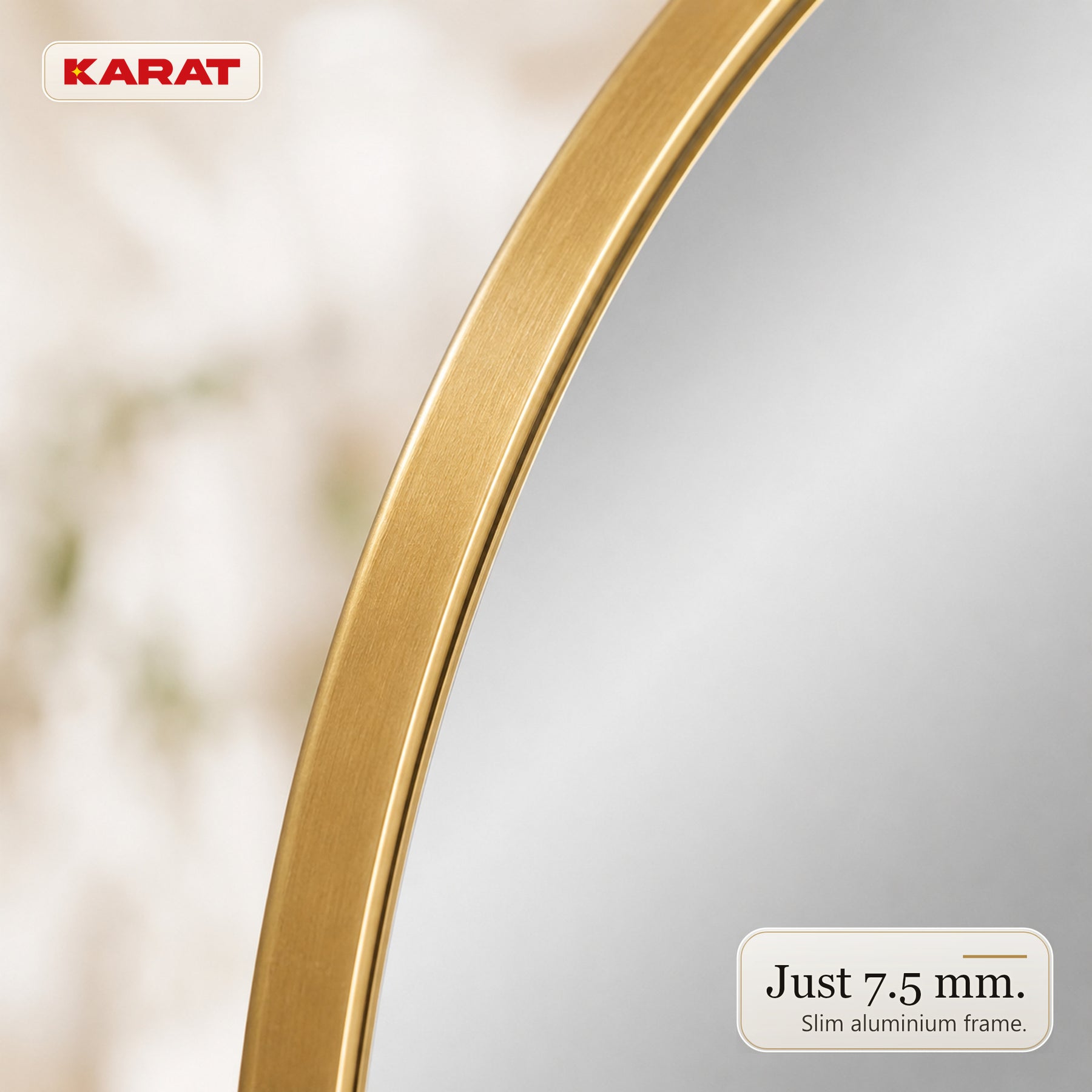 Wall Mirror | Lena | Organic Wall Mirror with Champagne Aluminum Frame | 60 × 90 cm