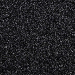 F3_Anthracite | Anthracite