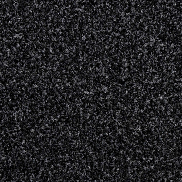 F3_Anthracite | Anthracite