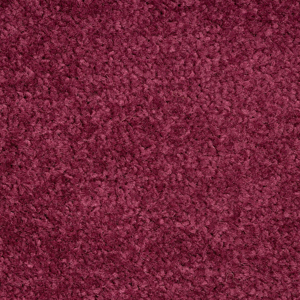 F3_Purple 48