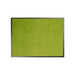 F1_Green 41