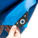 F2_Blue