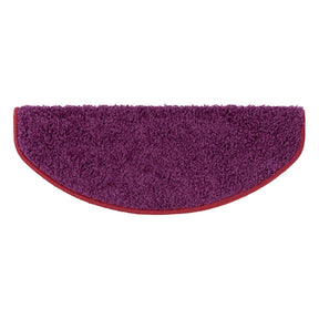 F2_fd-21854 | Berry | Semicircular