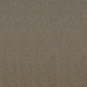 F8_Beige | Beige
