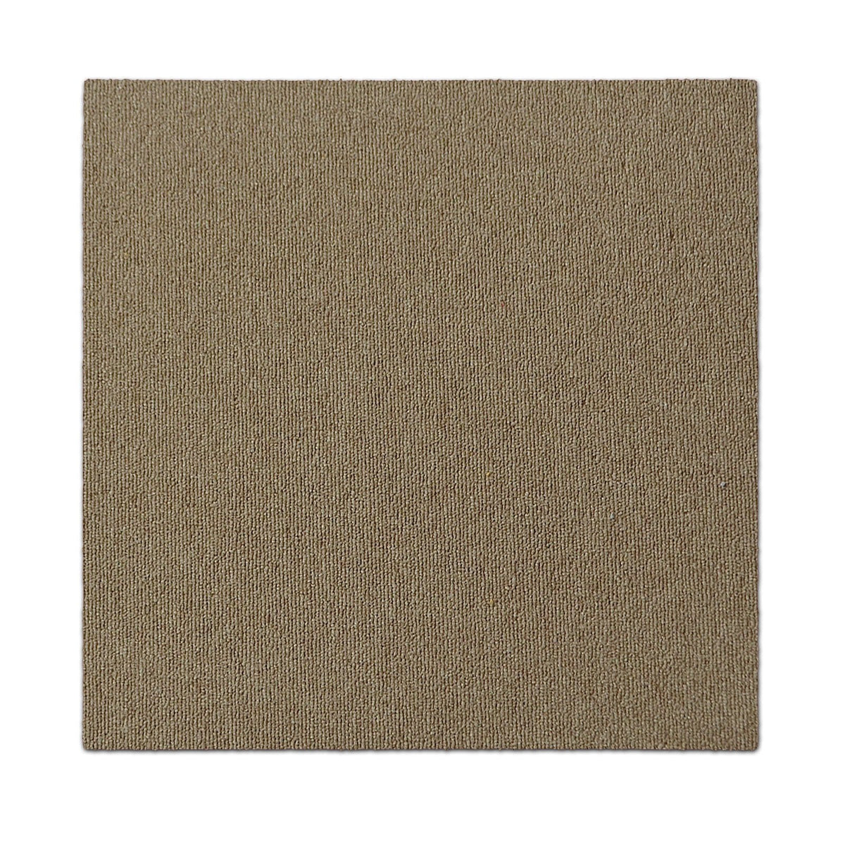 F2_Beige | Beige