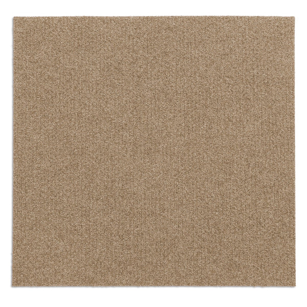 F2_Beige | Beige