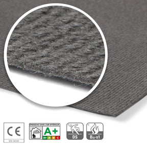 T2_Grey