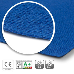 T2_Blue