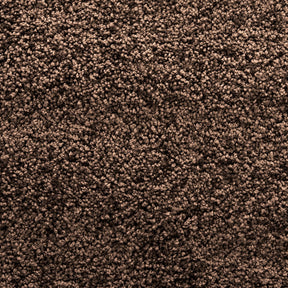 F3_Brown