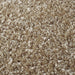 F4_Beige