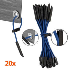 T1_Blue