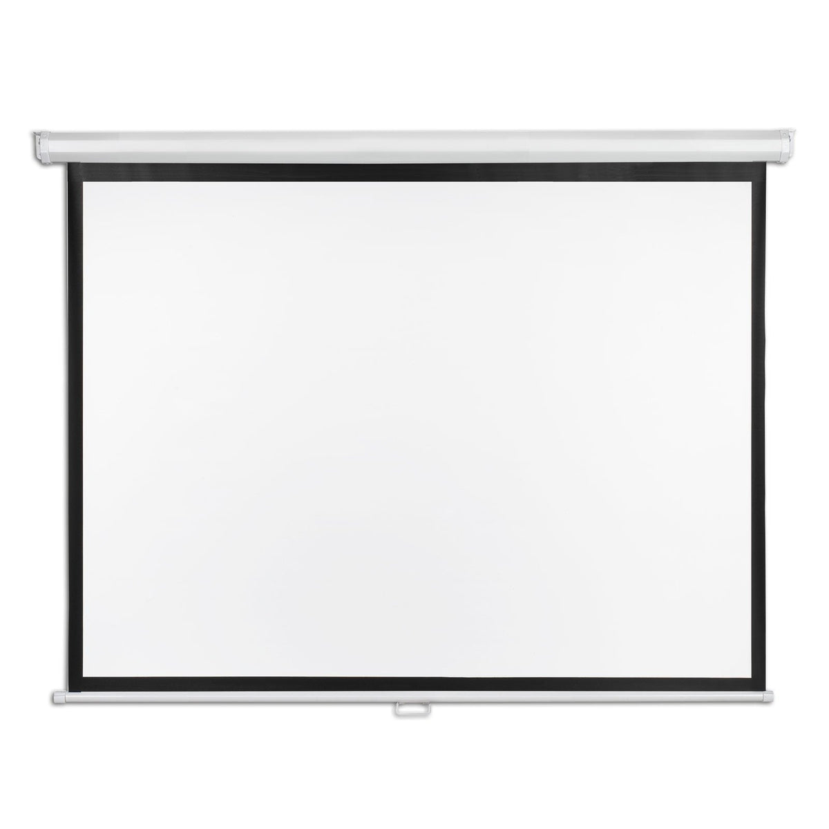 Projector Screen Free Standing HeightAdjustable Easy to Transpo