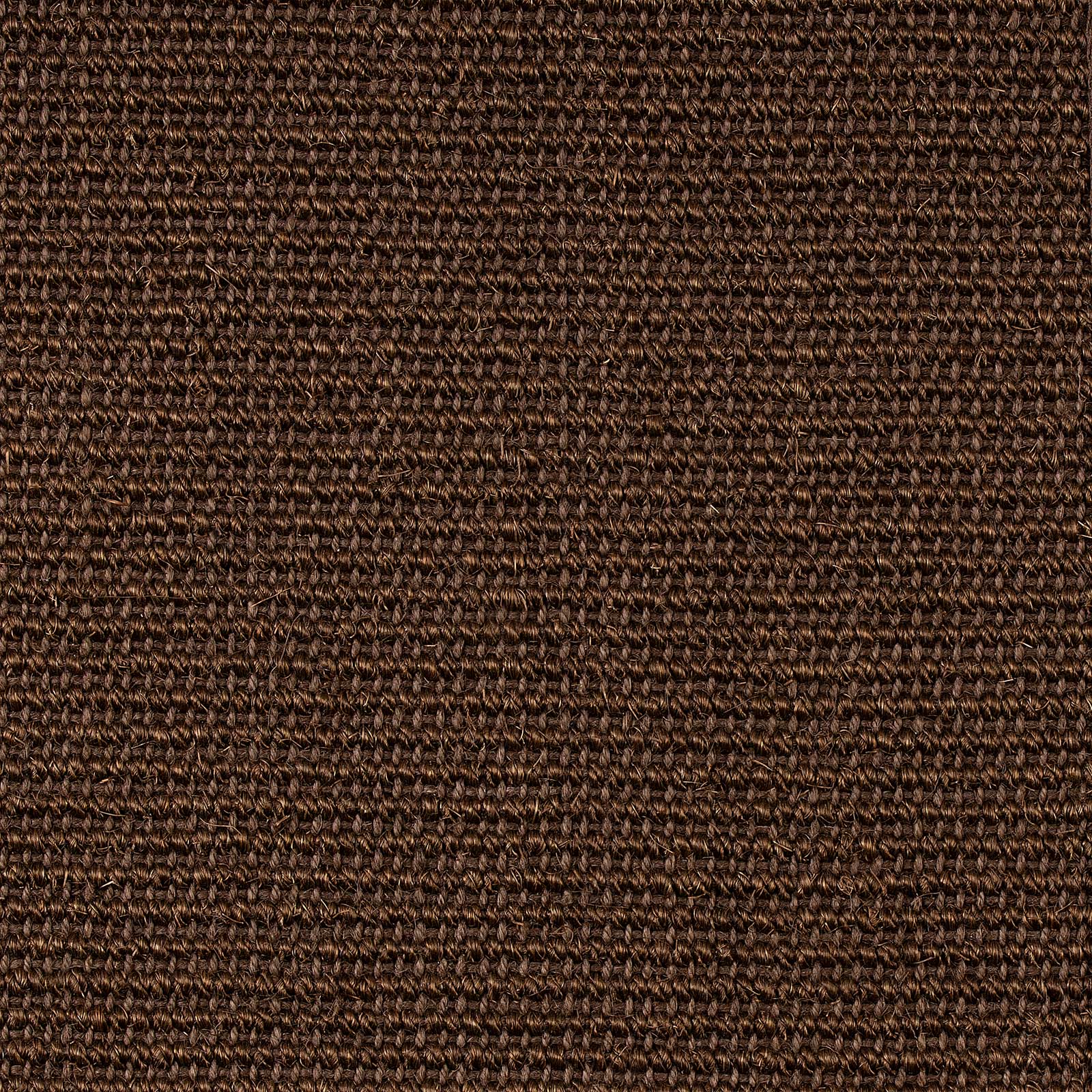 Sisal Rug Amazonas With Border Living Room Carpet — Floordirekt UK