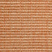 F2_Terra | Terra